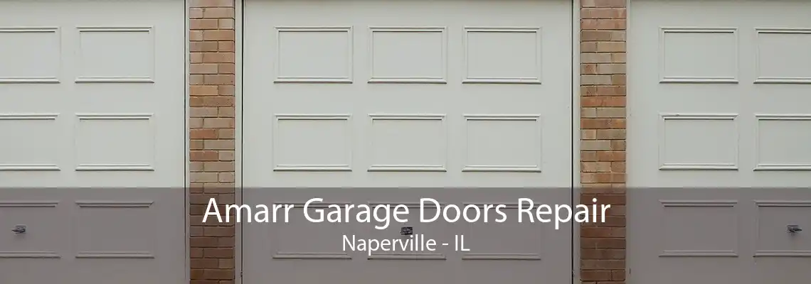 Amarr Garage Doors Repair Naperville - IL