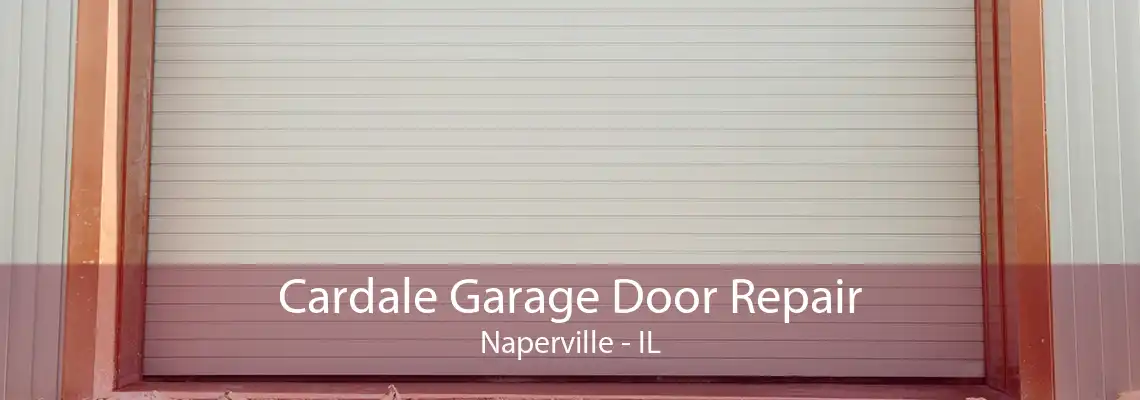 Cardale Garage Door Repair Naperville - IL