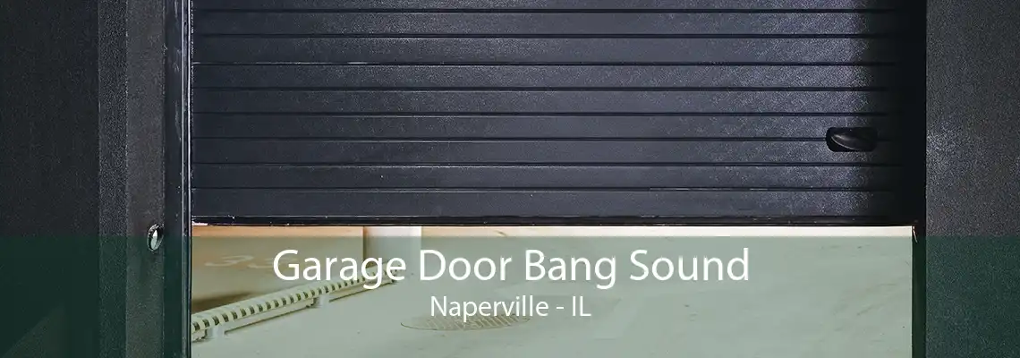 Garage Door Bang Sound Naperville - IL