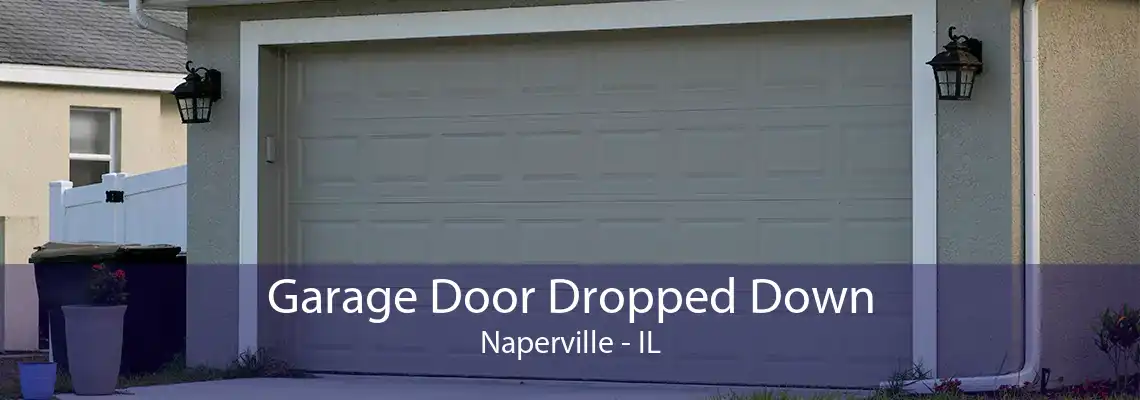 Garage Door Dropped Down Naperville - IL