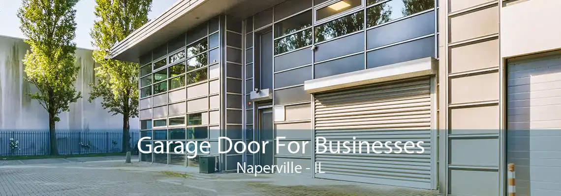 Garage Door For Businesses Naperville - IL