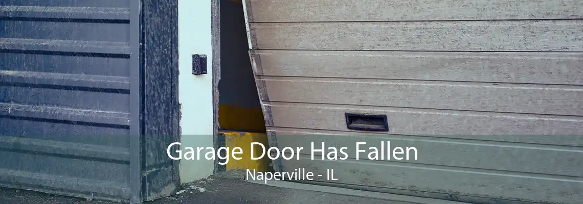 Garage Door Has Fallen Naperville - IL