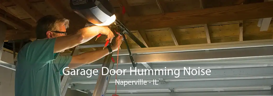 Garage Door Humming Noise Naperville - IL