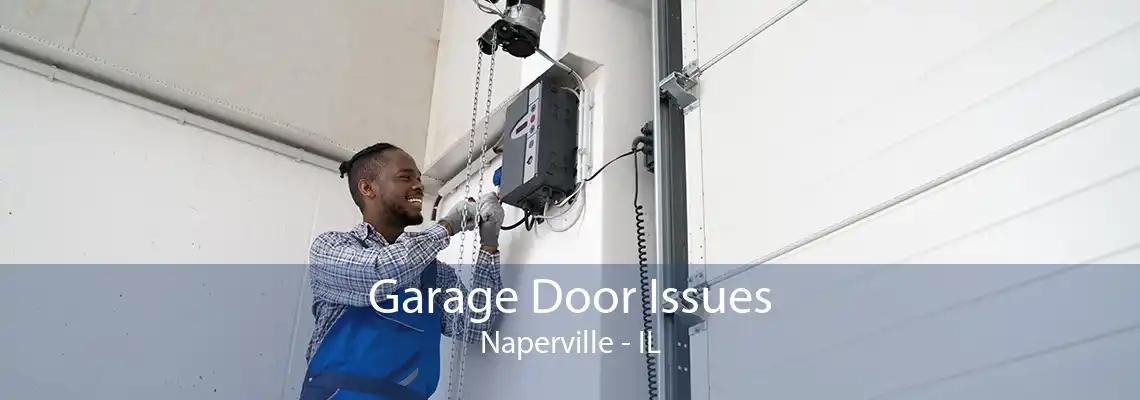 Garage Door Issues Naperville - IL