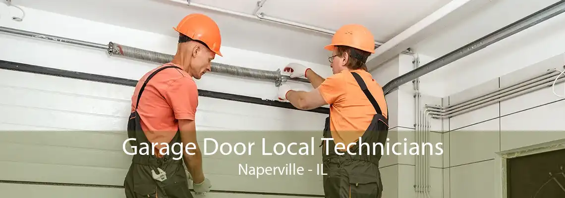 Garage Door Local Technicians Naperville - IL