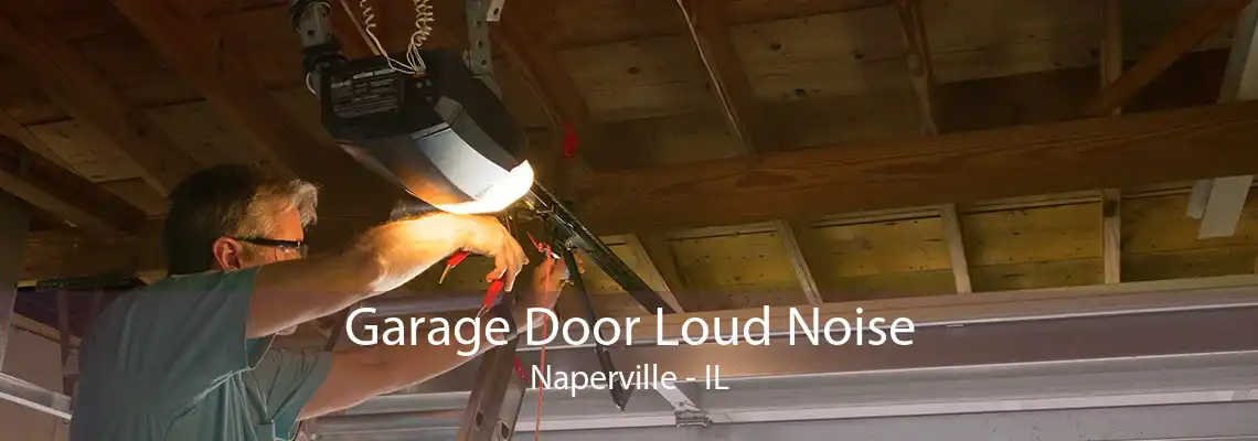 Garage Door Loud Noise Naperville - IL