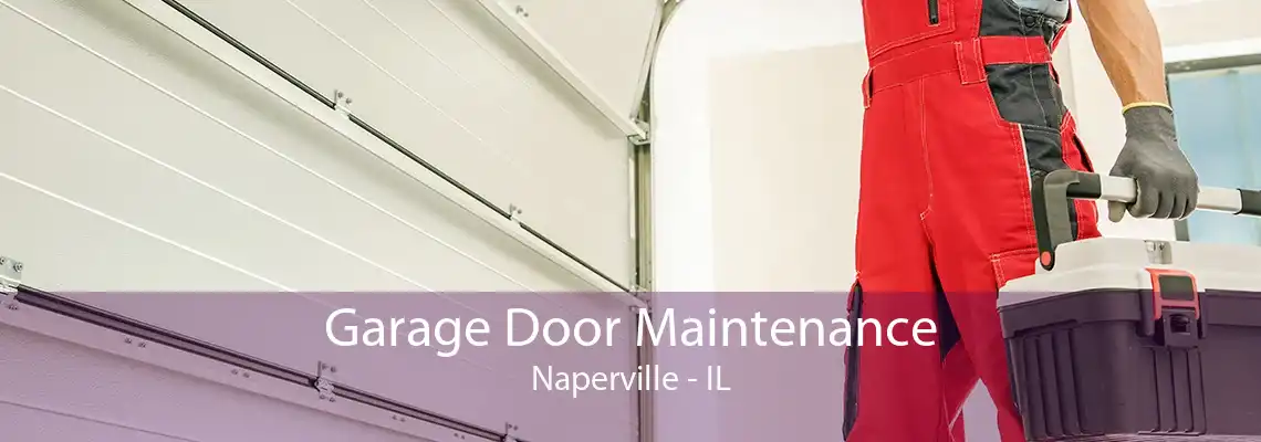 Garage Door Maintenance Naperville - IL