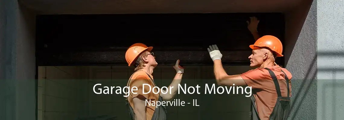 Garage Door Not Moving Naperville - IL