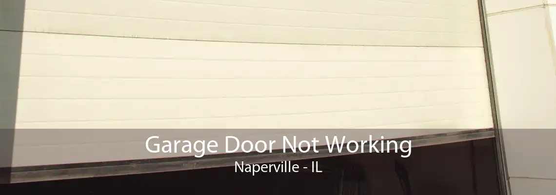 Garage Door Not Working Naperville - IL