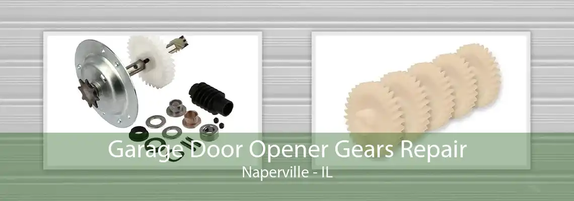 Garage Door Opener Gears Repair Naperville - IL