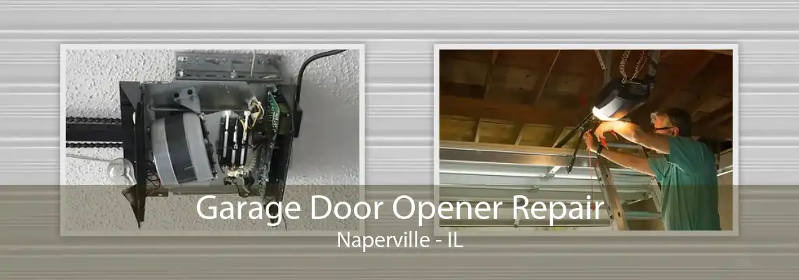 Garage Door Opener Repair Naperville - IL