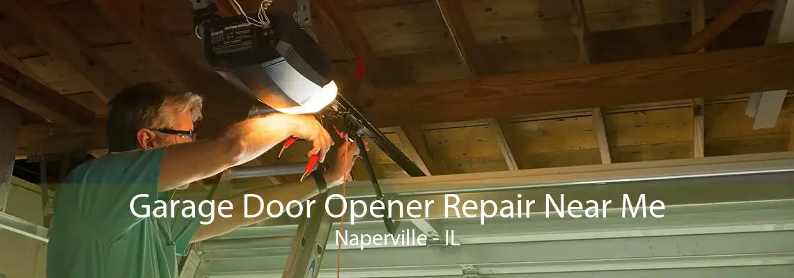 Garage Door Opener Repair Near Me Naperville - IL