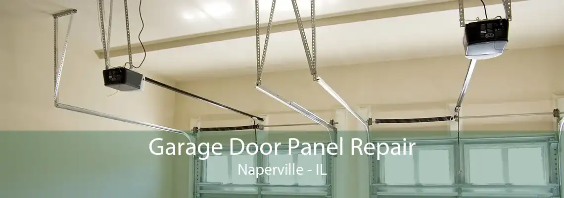 Garage Door Panel Repair Naperville - IL