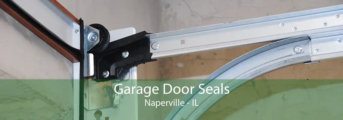 Garage Door Seals Naperville - IL