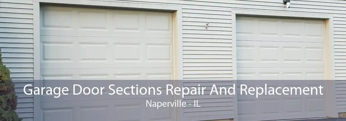 Garage Door Sections Repair And Replacement Naperville - IL