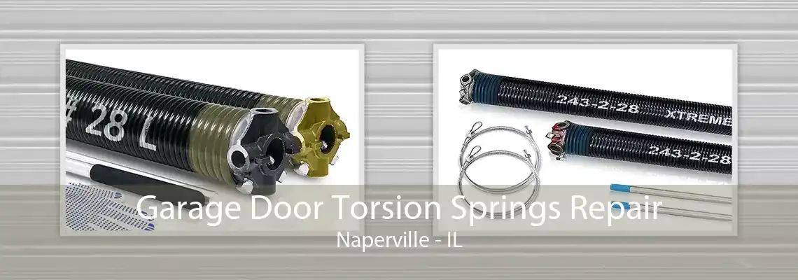 Garage Door Torsion Springs Repair Naperville - IL