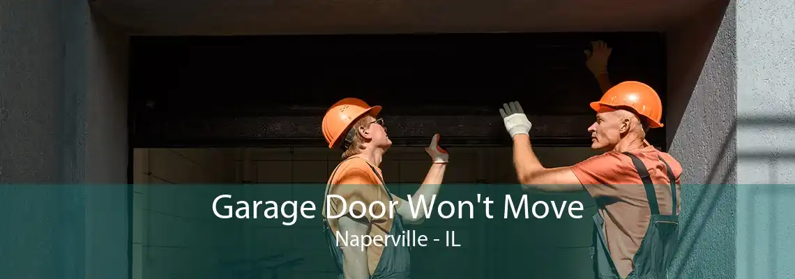 Garage Door Won't Move Naperville - IL