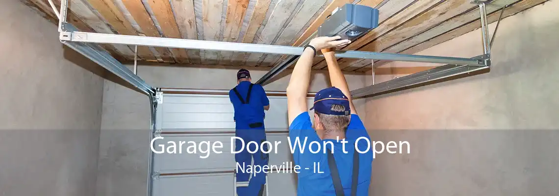 Garage Door Won't Open Naperville - IL