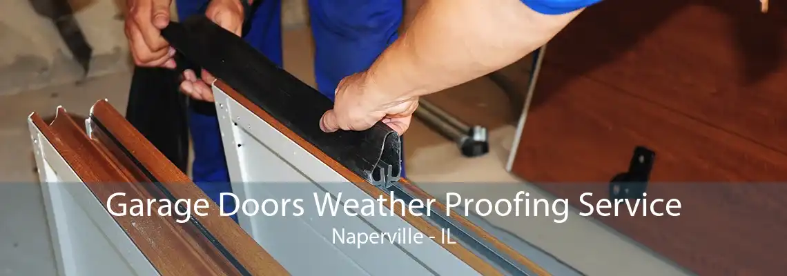 Garage Doors Weather Proofing Service Naperville - IL