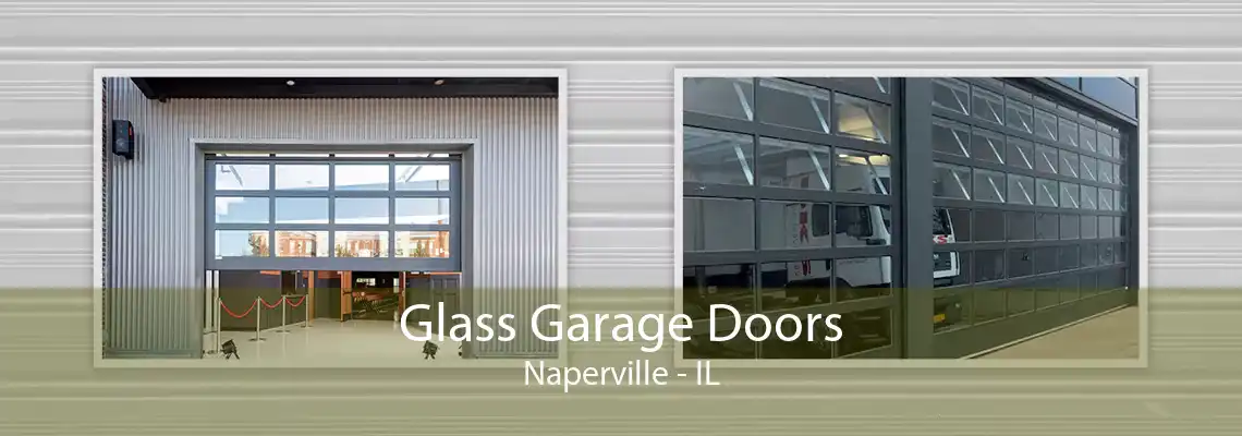 Glass Garage Doors Naperville - IL