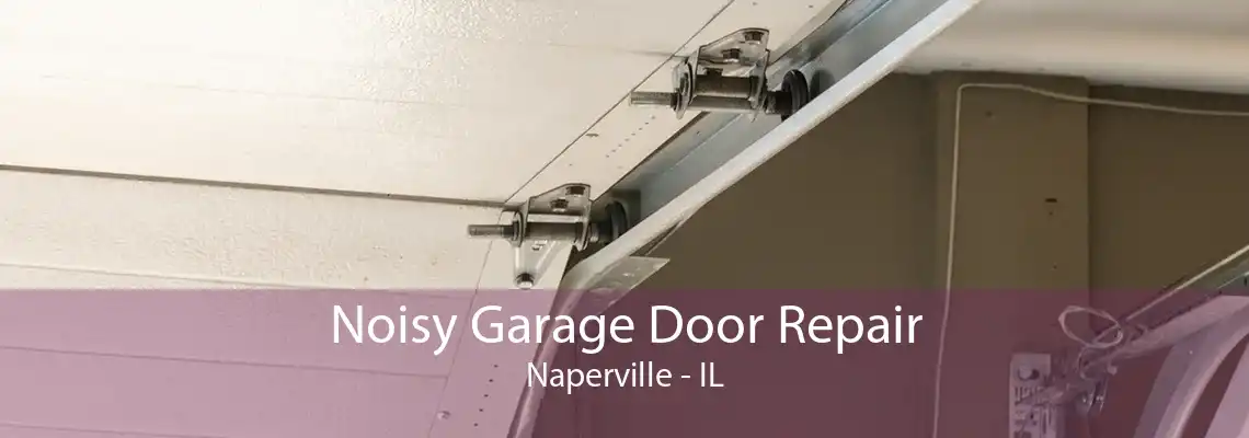 Noisy Garage Door Repair Naperville - IL