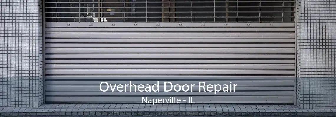 Overhead Door Repair Naperville - IL