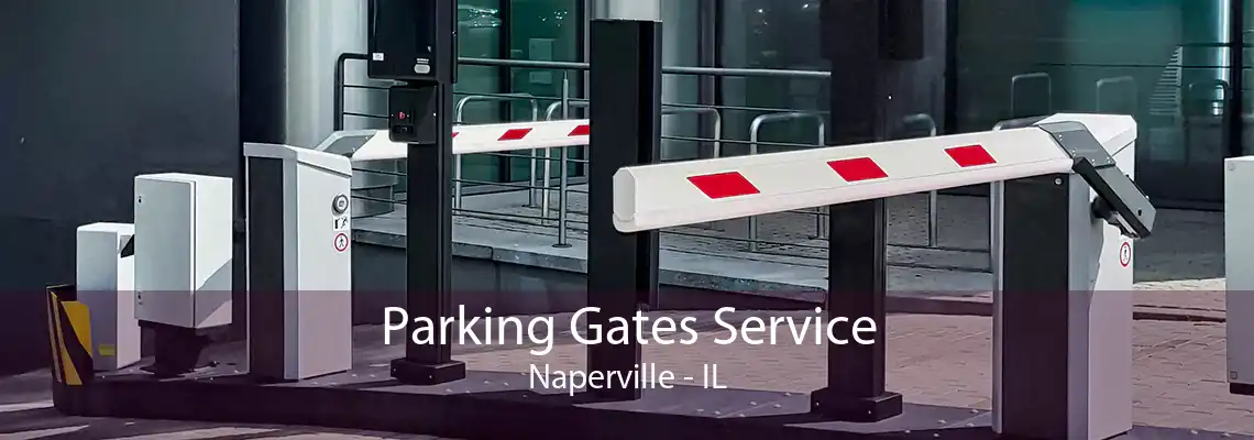 Parking Gates Service Naperville - IL