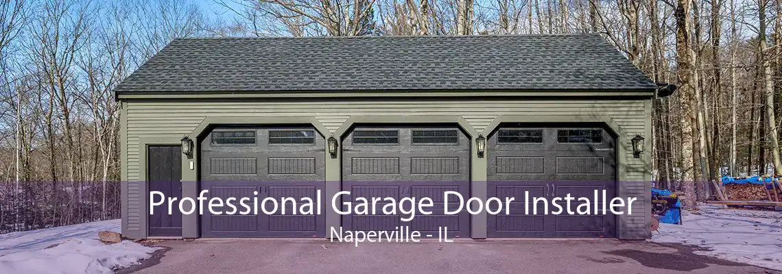 Professional Garage Door Installer Naperville - IL