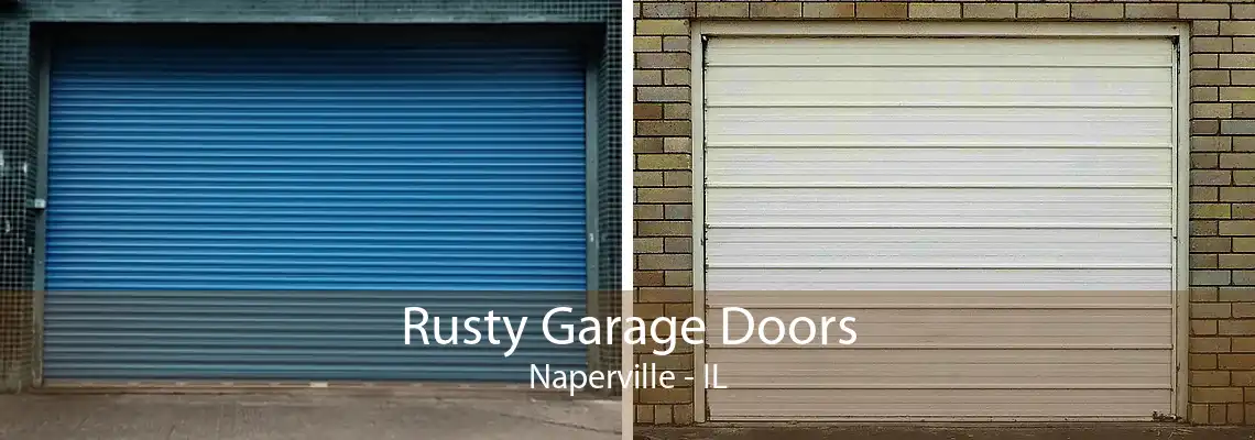 Rusty Garage Doors Naperville - IL