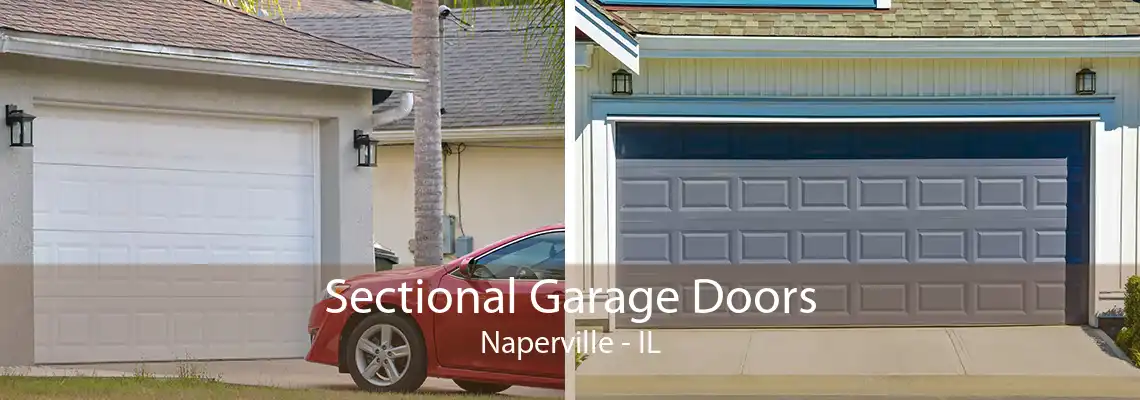 Sectional Garage Doors Naperville - IL